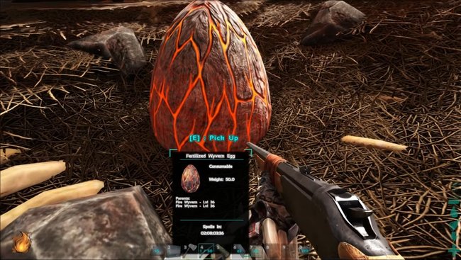 Dieses Ei zeigt euch, dass ein Feuerdrache daraus schlüpfen und vermutlich ein Level von 36 besitzen wird.