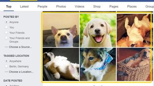 Die Facebook-Suche erkennt ab sofort sogar den Inhalt deiner Fotos