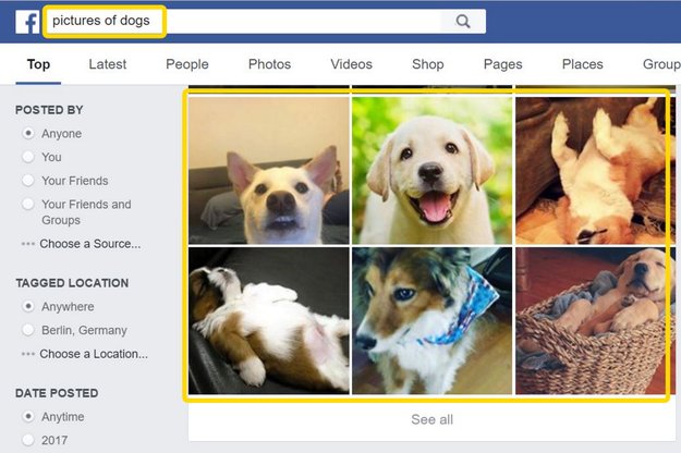 Die Facebook-Suche erkennt ab sofort sogar den Inhalt deiner Fotos