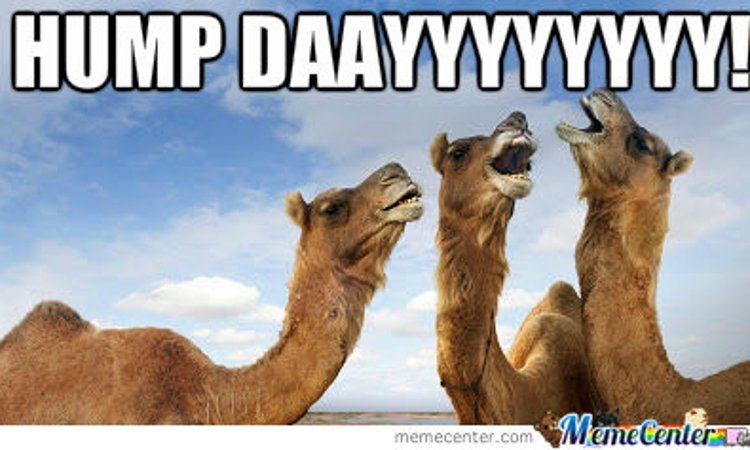 A Destreza das Dúvidas: Happy Hump Day!