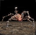 nioh-spinne