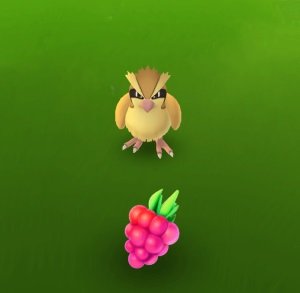 pokemon-go-beeren-sorten-effekte-screenshot