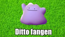 Pokémon GO: Ditto finden und fangen (2024) - Liste verwandelbarer Pokémon