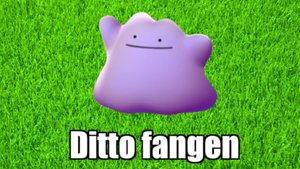 Pokémon GO: Ditto finden und fangen (2025) - Liste verwandelbarer Pokémon