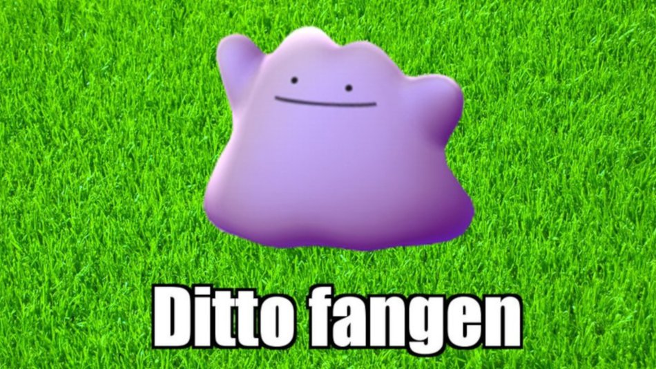 Pokémon GO: Ditto finden und fangen (2025) - Liste verwandelbarer Pokémon