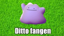 Pokémon GO: Ditto finden und fangen (2024) - Liste verwandelbarer Pokémon