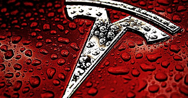 Held opferte seinen Tesla, um Unfall zu verhindern: Jetzt belohnt ihn Elon Musk