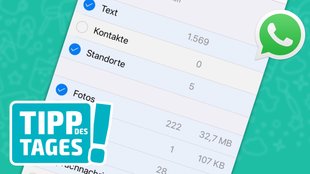 WhatsApp aufräumen: Neue Funktion bringt mehr Speicherplatz