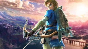 Breath of the Wild: Zelda-Spieler holt sich Pfeil, der unerreichbar scheint