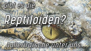 Reptiloiden: Gibt es sie wirklich?