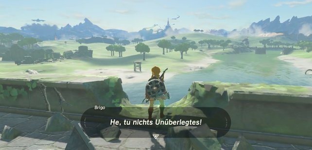 zelda-breath-of-the-wild-easter-egg-brigo