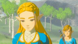 Zelda - Breath of the Wild: Erinnerungen - Fundorte aller 13 Fotos