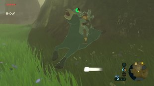 Zelda - Breath of the Wild: Pferde fangen, Epona finden und Zuneigung erhöhen