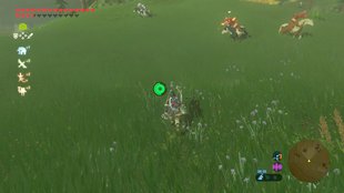 Zelda - Breath of the Wild: Pfeile farmen - unendlich Munition dank diesem Trick