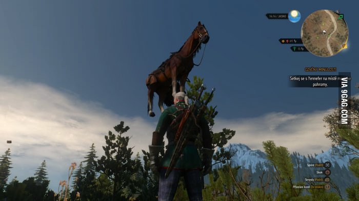 The_Witcher_Pferd_Bug