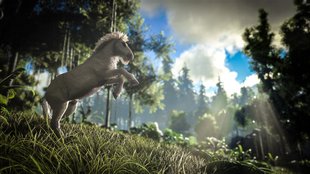 ARK - Survival Evolved: Equus finden und zähmen (mit Einhorn)