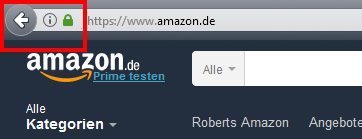 Wen in der Adressleiste das grüne Schloss angezeigt wird, ist die Verbindung verschlüsselt.