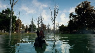 PlayerUnknown's Battlegrounds: Performance verbessern und FPS erhöhen