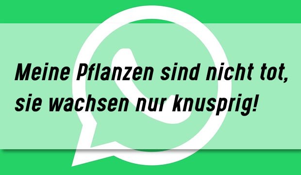 whatsapp-status-idee-13