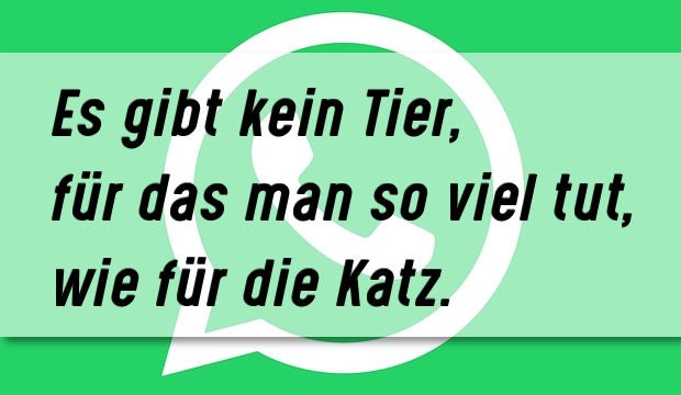 whatsapp-status-idee-20