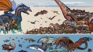 ARK - Survival Evolved: Alle Kreaturen im Wasser