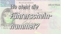 Führerscheinnummer: Wo ist sie auf dem neuen Führerschein?