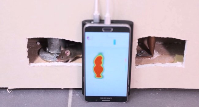 Der Rohdaten-Modus des Walabot erinnert an die Aufnahmen einer  Wäremebildkamera. Hier wird eine Maus visualisiert, die hinter der Wand vorbeihuscht (Quelle: Vayyar)