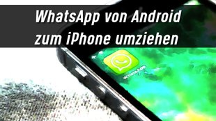 WhatsApp von Android auf iPhone umziehen