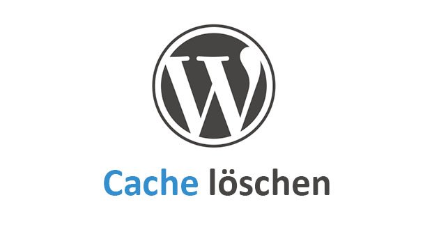 Wordpress: Cache löschen – so geht's