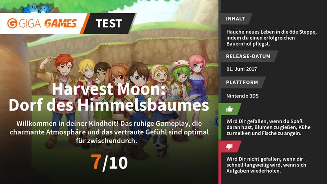 HarvestMoonTestFazit