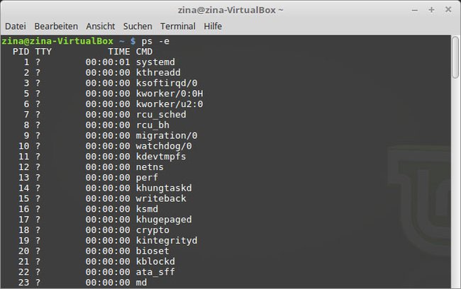Hier seht ihr die Prozesse, die unter Linux Mint laufen.
