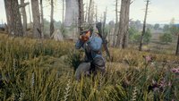 PlayerUnknown's Battlegrounds: Cheater melden - so gehts