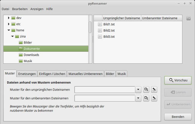 Die Software pyRenamer ist einfacher als es auf den ersten Blick aussieht