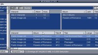 Winamp in Windows 10: Installieren & einrichten