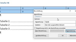 Word: Tabellenverzeichnis einfügen – automatisch