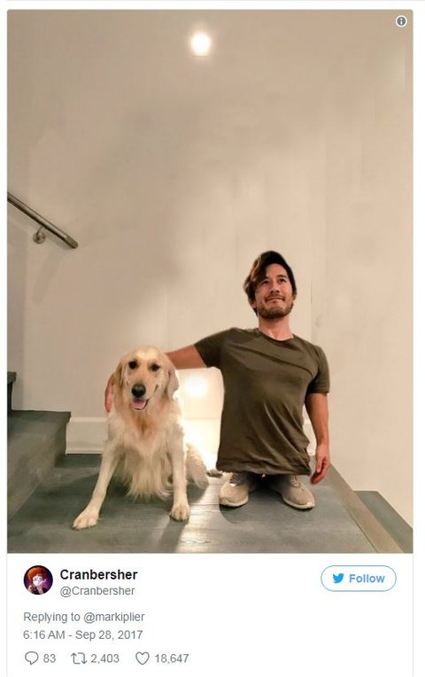 Markiplier Lasst Foto Von Seinem Hund Bearbeiten Die Ergebnisse Sind Der Wahnsinn