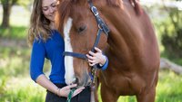 Top 4 Reiter-Apps: Praktisch für Pferdefreunde