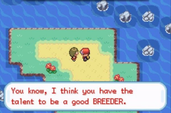 Pokemon Breeder