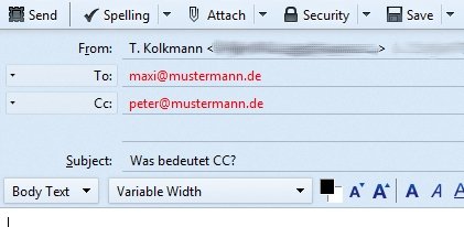 In diesem Beispiel geht die Mail an Maxi und Peter (im CC) // Screenshot: Mozilla Thunderbird