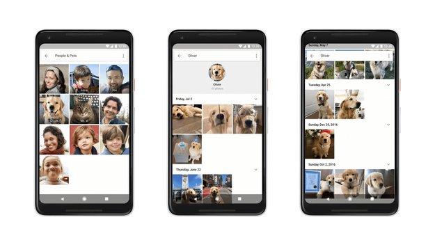 Google Fotos: Geniale Funktion findet deine behaarten Freunde