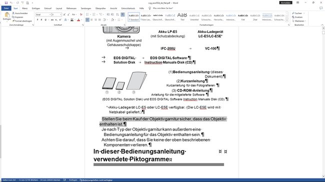 Screenshot einerr in Word geöffneten PDF-Datei