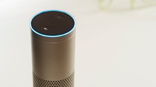 Alexa leuchtet grün: Das bedeutet der Lichtring