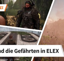 ELEX: Alle Gefährten finden - das bringen euch die Begleiter