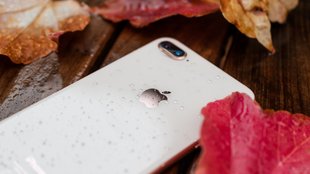 Apple schiebt iPhone aufs Abstellgleis: Beliebtes Modell betroffen