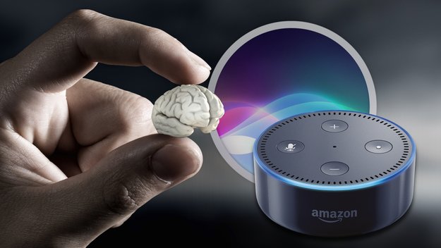 Siri, Alexa und Konsorten: Darum ist die künstliche Intelligenz für mich zu blöde (Kolumne)