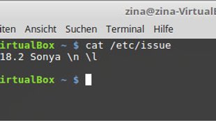 Linux-Version anzeigen (Distribution & Nummer) – so geht's