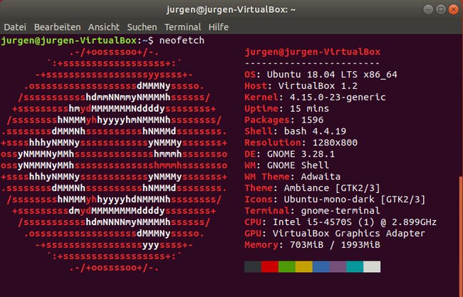 Neofetch zeigt alle wichtigen Infos an. (Bildquelle: GIGA)