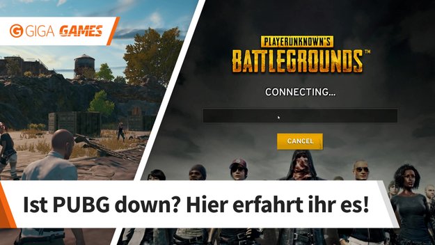 PlayerUnknown's Battlegrounds: Server down? Alle Störungen und Probleme