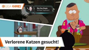 South Park - Die rektakuläre Zerreißprobe: Big Gay Als Katzen - alle Fundorte