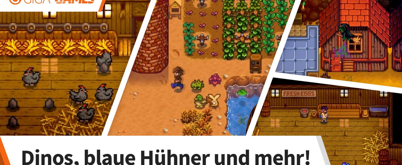 Stardew Valley Tiere füttern, kaufen, züchten und Stall bauen
